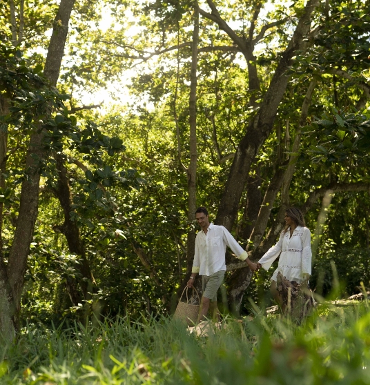 Tiny forests in Savannah - South of Mauritius